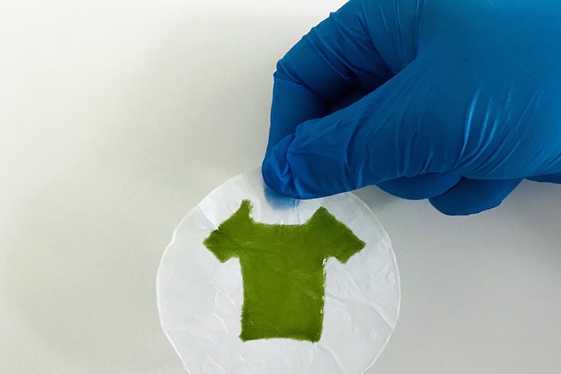 Scientists create biodegradable textile 